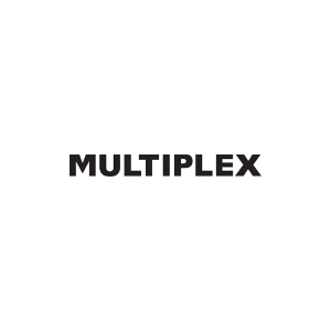2.-Multiplex